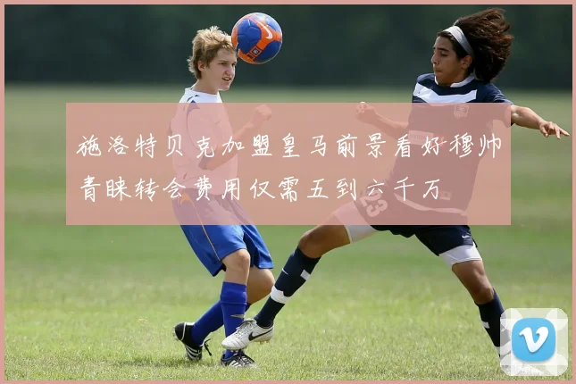 施洛特贝克加盟皇马前景看好穆帅青睐转会费用仅需五到六千万