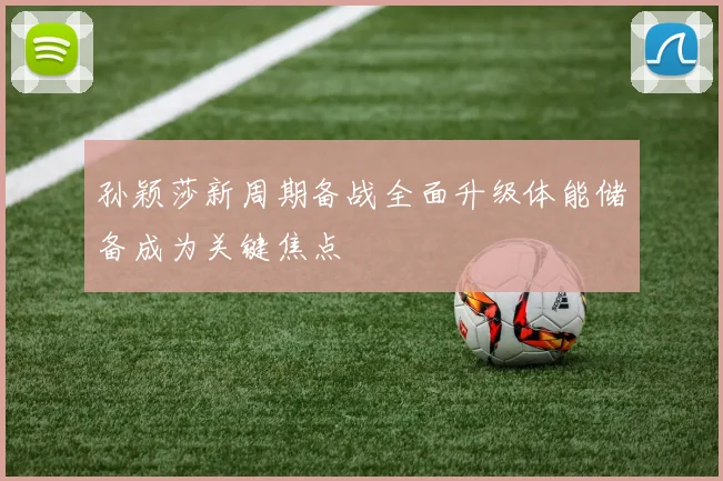 孙颖莎新周期备战全面升级体能储备成为关键焦点
